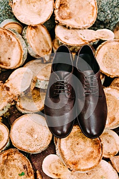 Brown shoes of groom on a wooden background. Men`s accessories.