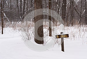 Brown sign with `trail` in yellow letters on snow covered trail