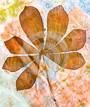 Brown silhouette of chestnut leaf on silk batik photo