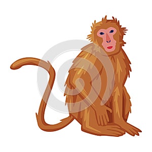 Brown Sitting Monkey as Bali Traditional Cultural Attribute Vector Illustration