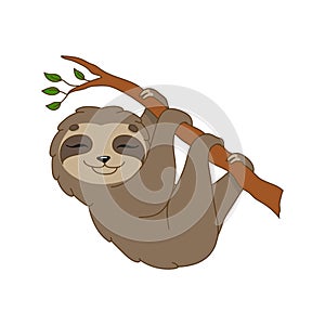 Brown sloth. Cute character. Colorful vector illustration. Cartoon style. Isolated on white background. Design element. Template