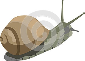 Brown Slow Snail Animal Vector Illustration