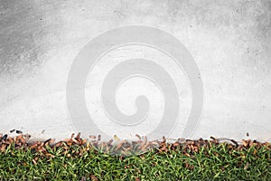 Brown small leaf and green grass with old concrete floor in garden.