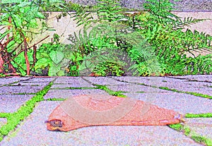 Sketch Sketching Drawing Brown Snail in a Garden - Mollusca - Digital