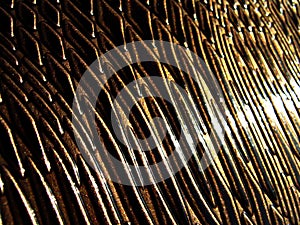 Brown Snake Luxury Leather