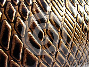 Brown Snake Luxury Leather