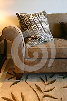 Brown Sofa and Pillow