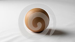 A brown spherical object resembling an egg sits on a smooth white surface