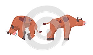 Brown spotted bull, ox farm animal cartoon vector illustration