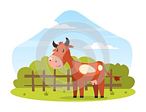 Brown Spotted Cow with Horns Grazing on Pasture with Green Grass Vector Illustration