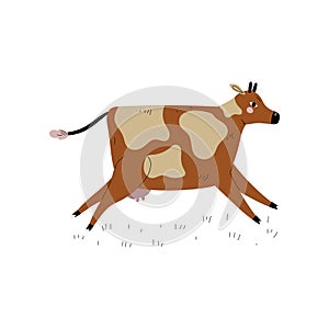Brown Spotted Cow Running, Dairy Cattle Animal Husbandry Breeding Vector Illustration