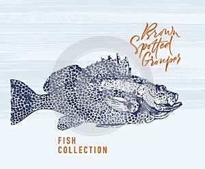 Brown spotted grouper. Delicious meal vector illustration