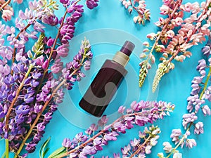 Brown spray bottle mockup and multicolor lupines on a turquoise blue background. Blank label bottle for branding. Natural organic