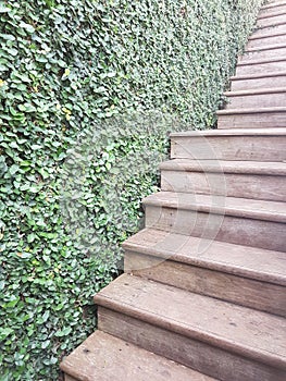 Brown stair and green wall