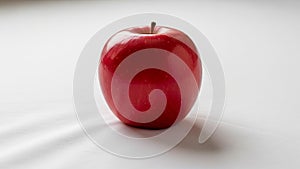 Brown stem protrudes from the top. The background is plain emphasizing the