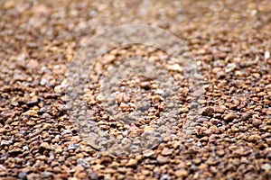 Brown stone grit scree, stone floor grit scree for background, floor surface rock materials scree texture, brown gravel stone