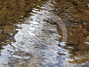 Brown stones of a creek bed seen through rippled water.