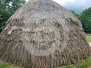 Brown straw or wood house or hut with thatch roof