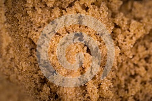 Brown Sugar Close Up