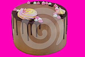 Brown tasty chocolade cake