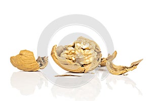 Brown tasty walnut isolated on white