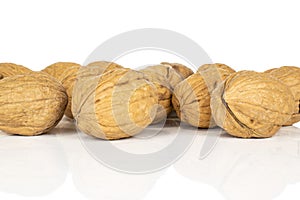 Brown tasty walnut isolated on white