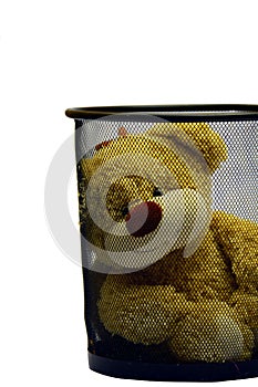 Brown teddy bear into can on white background