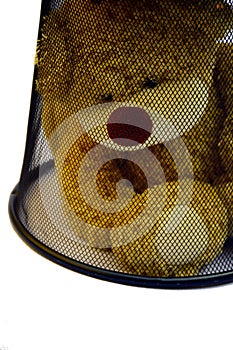 Brown teddy bear into can on white background