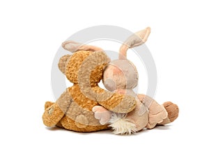 Brown teddy bear and cute rabbit sit on white isolated background