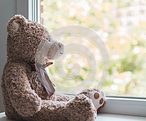 A brown teddy bear looking out through a window