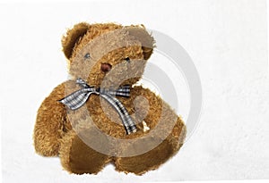 Brown teddy bear on white background