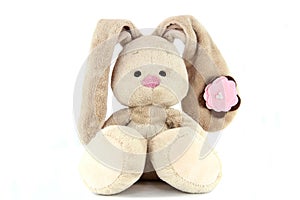 Brown teddy bunny with rose nose and flower on the ear isolated