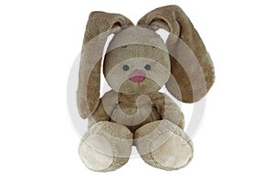 Brown teddy bunny with rose nose isolated