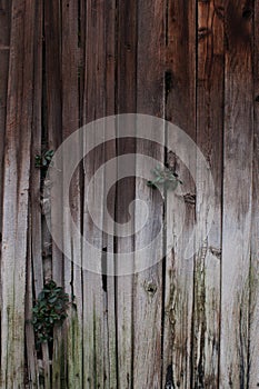 Brown Textured Wood Fence Background