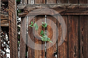 Brown Textured Wood Fence Background