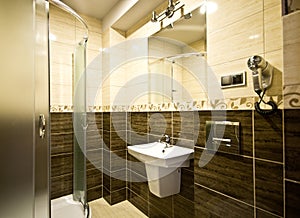 Brown theme bathroom