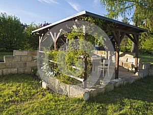 Brown tiber wooden gazebo or pergola with climbing plants and fl