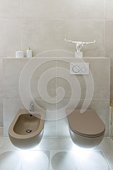Brown toilet and bidet. Economic toilet white flush press with two separate buttons for flushing toilet. Bottom light. Shelf with