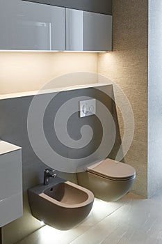 Brown toilet and bidet. Modern wc interior. Economic toilet white flush press with two separate buttons for flushing toilet.