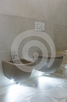 Brown toilet and bidet. Modern wc interior. Economic toilet white flush press with two separate buttons for flushing toilet.