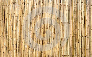 Brown tone bamboo plank fence texture for background