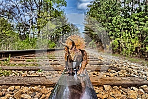 Brown triceratops dinosaur walking on railroad tracks