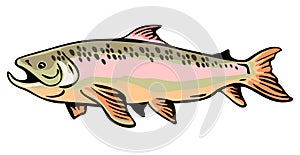 Brown Trout