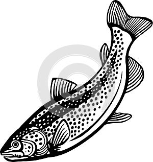 Brown Trout - American Fishes - Logo Fish Vector, Fish Stencil