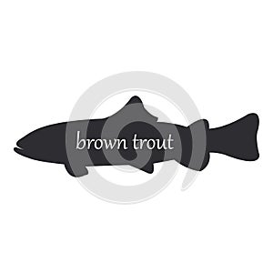 Brown Trout or Salmo trutta, fish black silhouette on white background photo