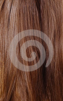 Brown uncombed long hair