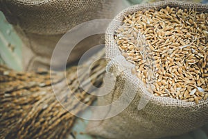 brown grain rice in burlap sack bag