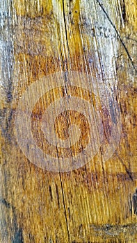Brown varnished wood texture