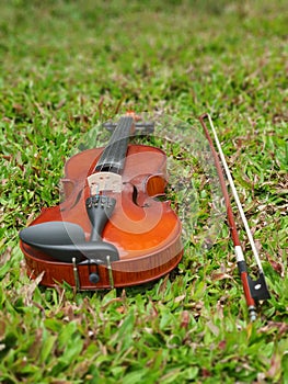 a brown violin and the bow on the green empire zoysia grass