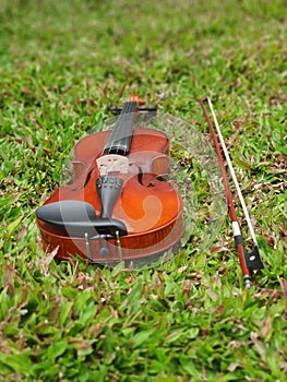 a brown violin and the bow on the green empire zoysia grass
